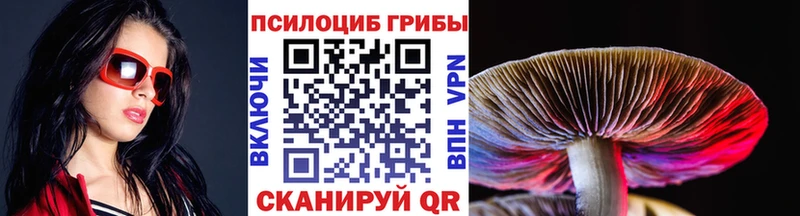 Псилоцибиновые грибы мицелий  Дербент 
