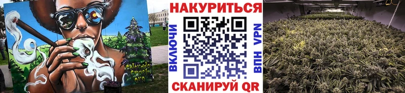 наркота  Дербент  ссылка на мегу как зайти  Конопля ГИДРОПОН 